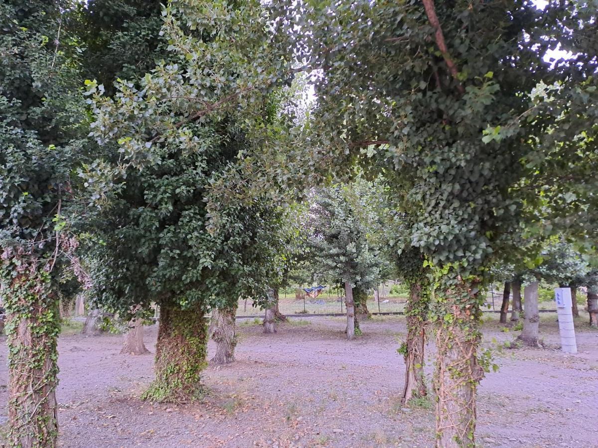 Camping Valle Del Andarax Fondón Exterior foto