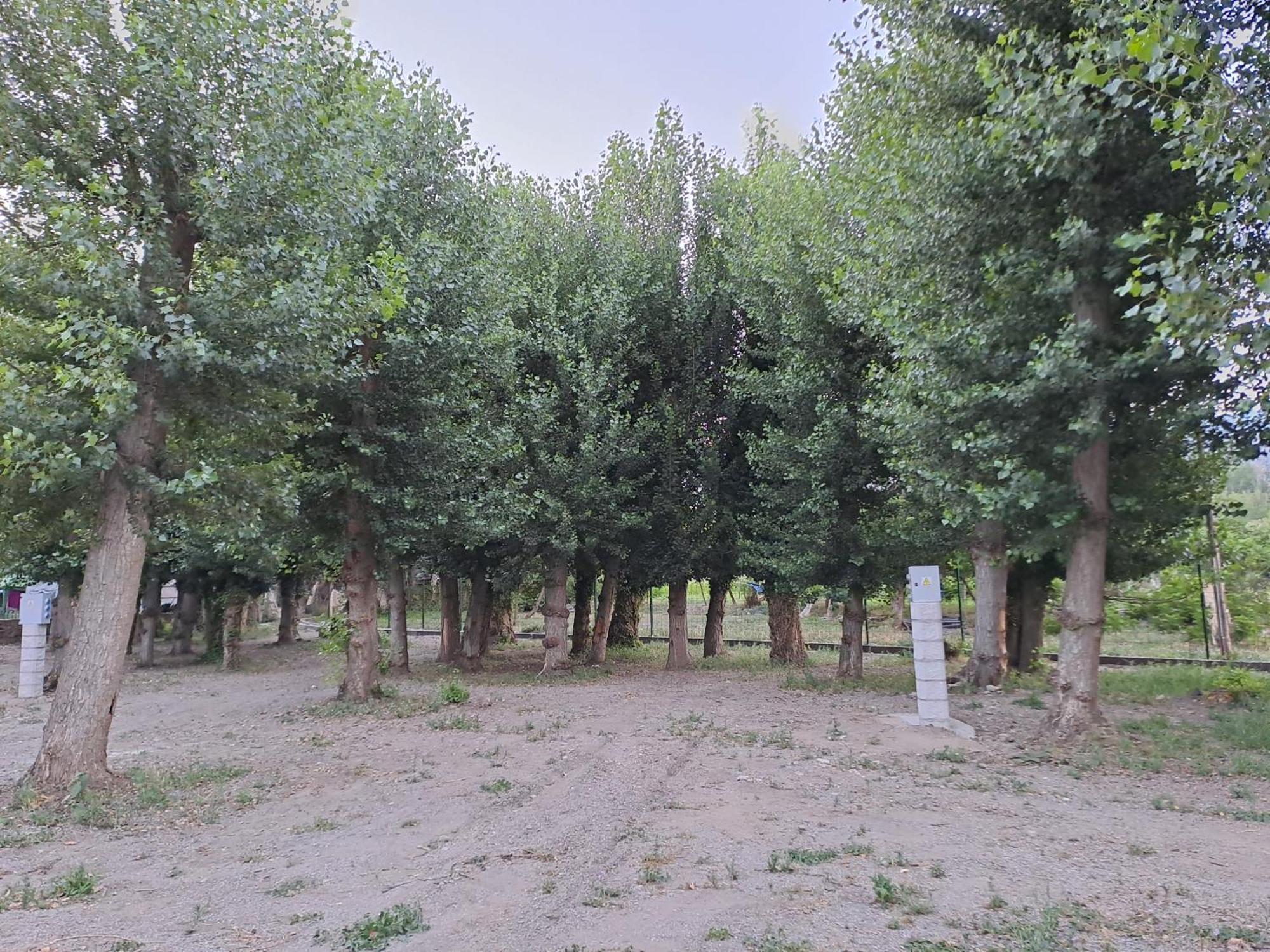 Camping Valle Del Andarax Fondón Exterior foto